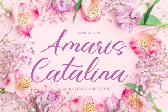 Amaris Catalina: The Handwritten Typeface for Elegant Editorial Design