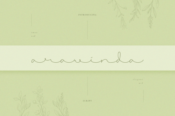 Arawinda: The Handwritten Typeface for Scroll-Stopping Campaigns
