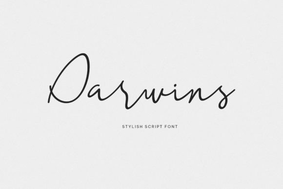 Darwins: The Handwritten Typeface That Elevates Your Brand Identity