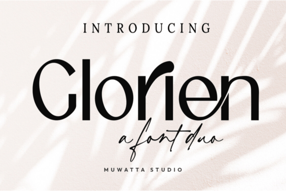 Glorien Duo Review: A Designer’s Take on Script Amp