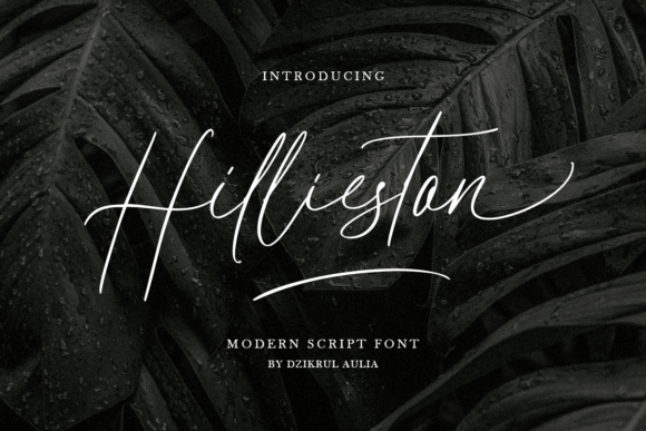 Hillieston: A Flowing Script Font for Editorial Elegance