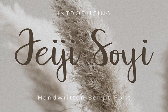 Jeiji Soyi: A Delicate Script Font for Editorial Elegance