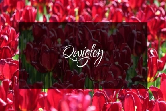 Qwigley: A Slim Handwritten Typeface for Clean Brand Identity