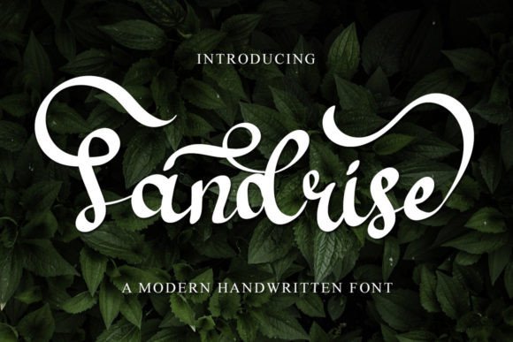 Sandrise: The Elegant Script Typeface for Modern Brand Identity