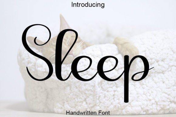Sleep: The Elegant Handwritten Typeface for Polished Branding