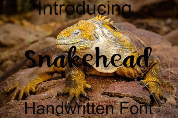 Snakehead Typeface: Elevating Handmade Brand Identity