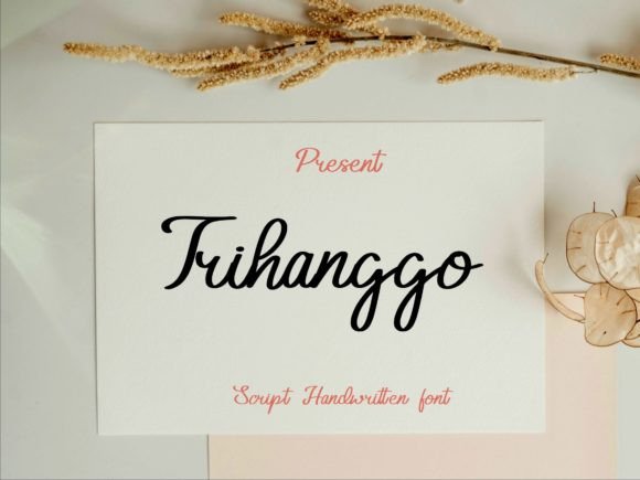 Trihanggo: Elevate Your Brand’s Visual Voice